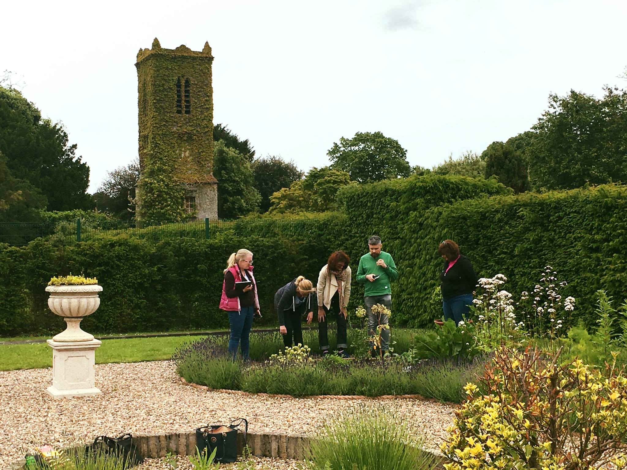 st-annes-physic-garden-4